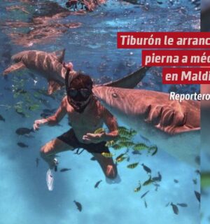 Tiburón le arranca la pierna a médico que celebraba su luna de miel en Maldivas
