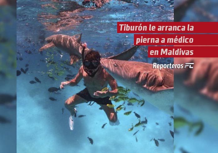 Tiburón le arranca la pierna a médico que celebraba su luna de miel en Maldivas