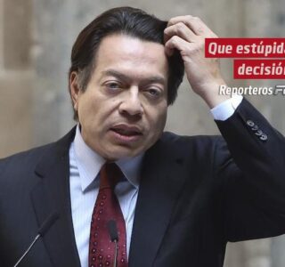 Que estúpida decisión