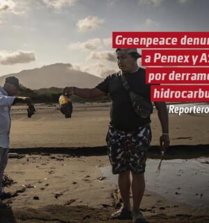 Greenpeace denuncia a Pemex y ASEA por derrame de hidrocarburos en el Golfo de México