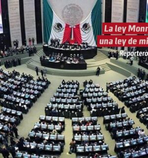 La ley Monreal, una ley de miedo
