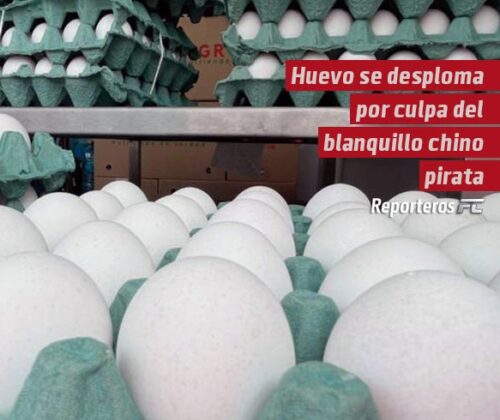 Acusan que precio del huevo se desploma por culpa del blanquillo chino pirata