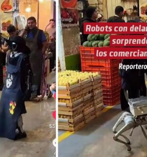 Robots con delantal sorprenden a los comerciantes