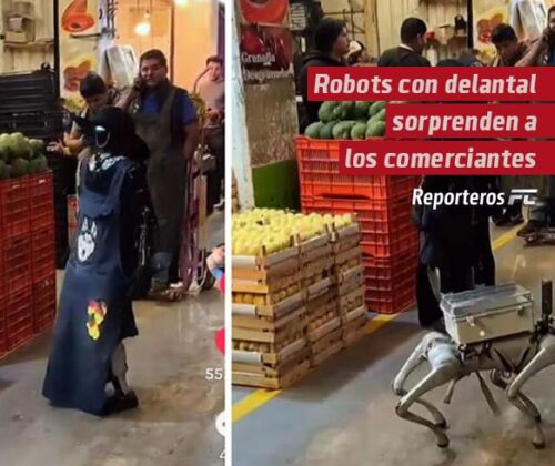 Robots con delantal sorprenden a los comerciantes