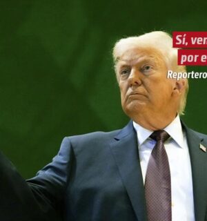Sí, vendrá por ellos