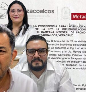 MetaDato