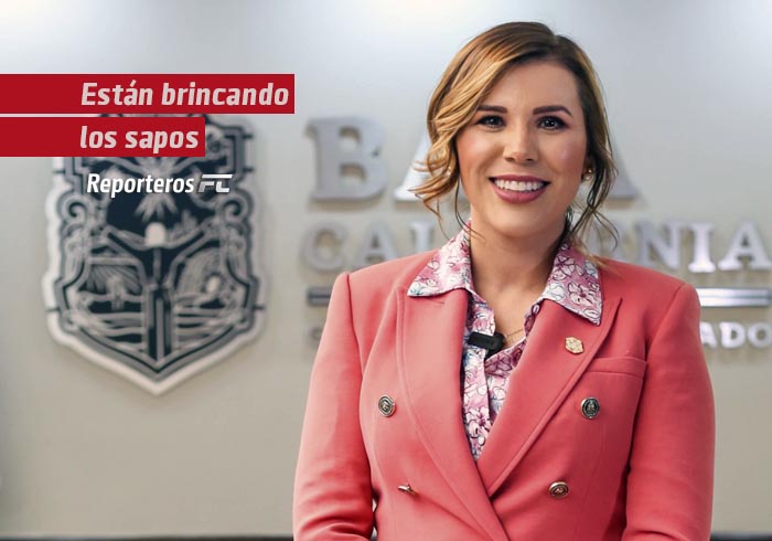 Están brincando los sapos