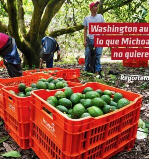 Washington audita lo que Michoacán no quiere ver