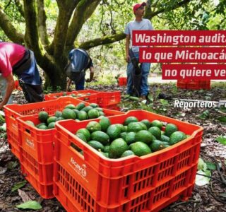 Washington audita lo que Michoacán no quiere ver
