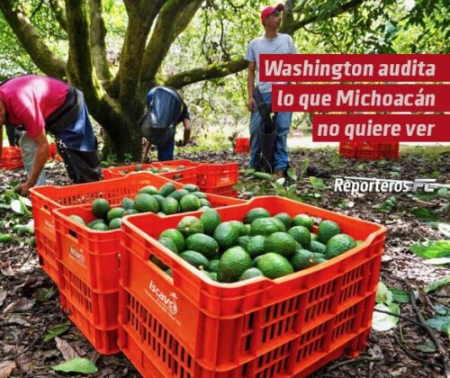 Washington audita lo que Michoacán no quiere ver