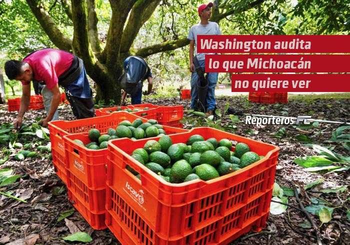 Washington audita lo que Michoacán no quiere ver
