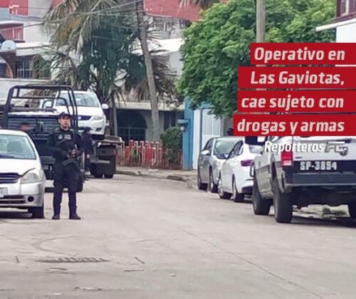 Operativo en Las Gaviotas: cae un sujeto con armas, droga y un vehículo