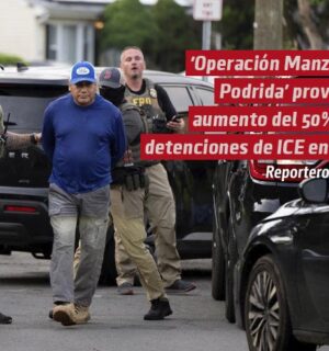 ‘Operación Manzana Podrida’ provoca aumento del 50% de detenciones de ICE en Nueva York